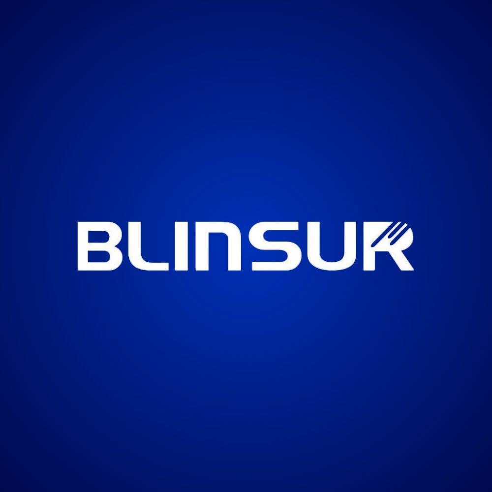 BLINSUR